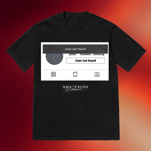Section 8 Merch User Not Found T-Shirt Birthday Gift For Friends