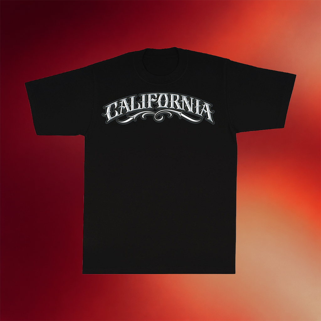 Streetwise Gear Merch 2026 CA All Day T-Shirt Great Father_s Day Gifts