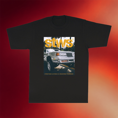 Streetwise Gear Merch 2026 Euro T-Shirt STWS Shirt Father_s Day Presents For Son