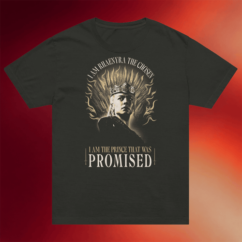 WB Shop Merch 2026 House Of The Dragon T-Shirt Prince That Was Promised Shirt Gifts For Him