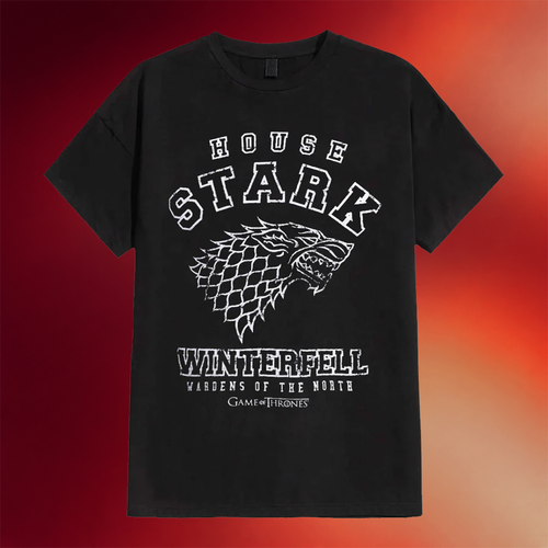Game Of Thrones Merch House Stark Winterfell T-Shirt Game Of Thrones Shirt Gift Ideas For Him