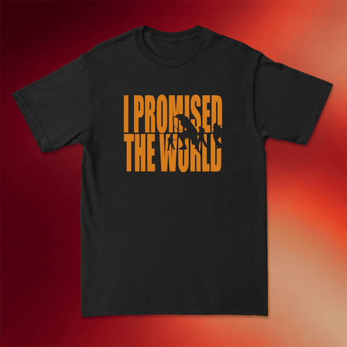 I Promised The World Merch 2026 Shadow T-Shirt Gift Ideas For Music Lovers
