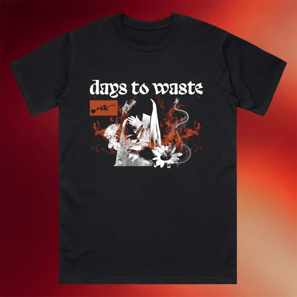 Passion Eight Records Merch 2026 Days To Waste T-Shirt DTW Shirt Presents For Music Lovers